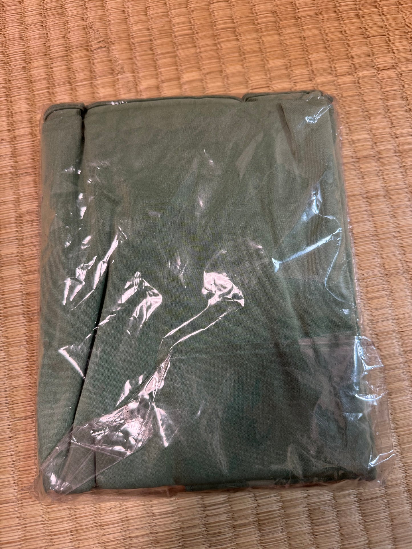 Plasmina Intan Sally Dewasa Size 180x80 cm