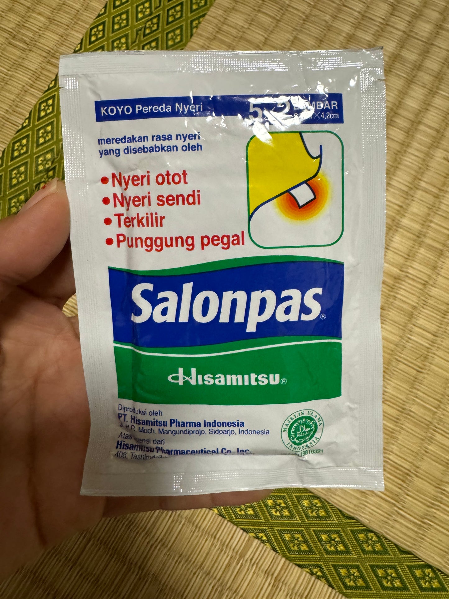 Salonpas @10 / Sachet